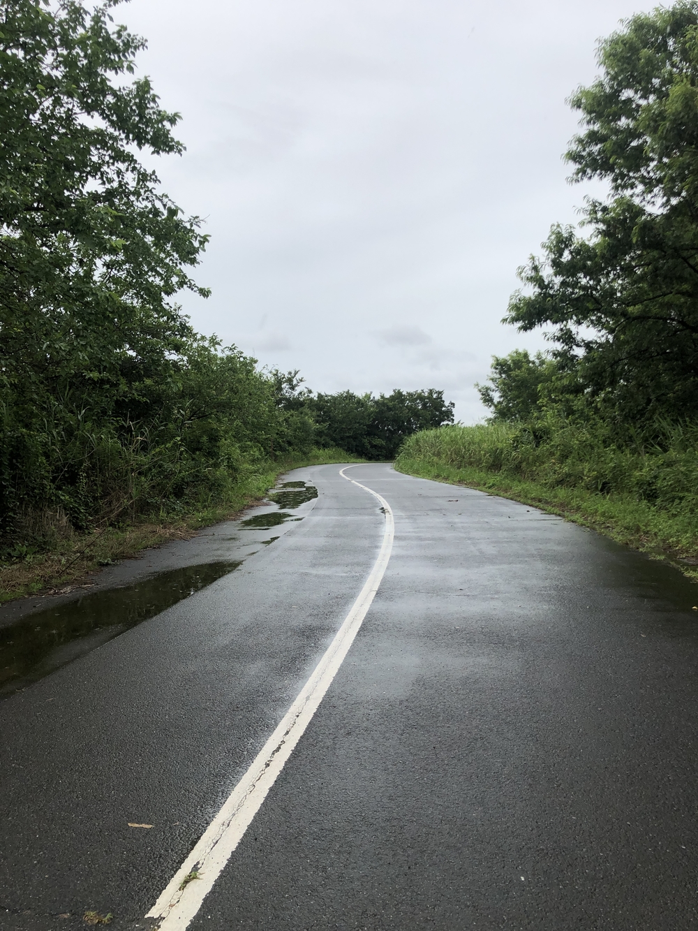 彩湖・道満グリーンパーク 周回コースの写真4