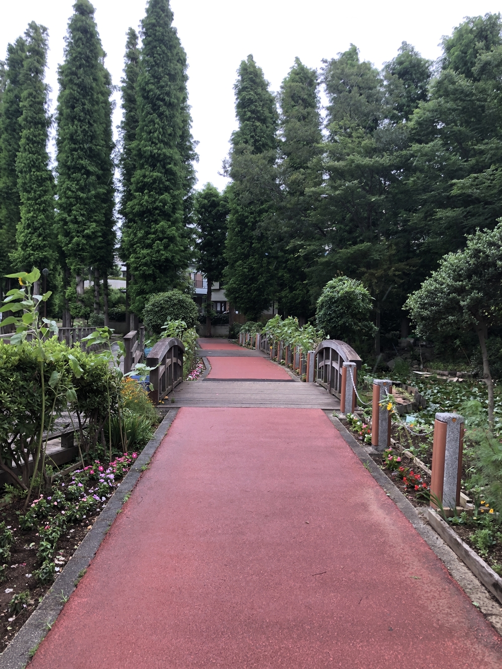 別所沼公園 周回コースの写真3