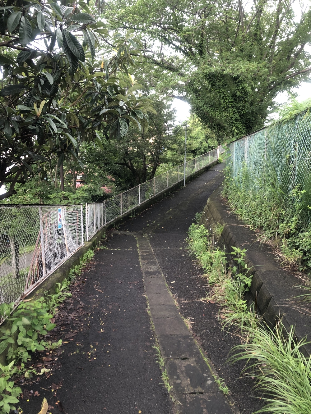 二宮南口 まーすっぐが気持ちいいっ 3.5K course＊の写真3