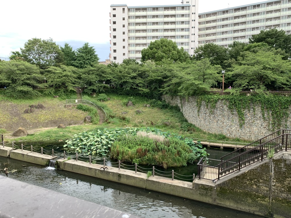 春は花見コースですが、初夏は新緑コースです。の写真4