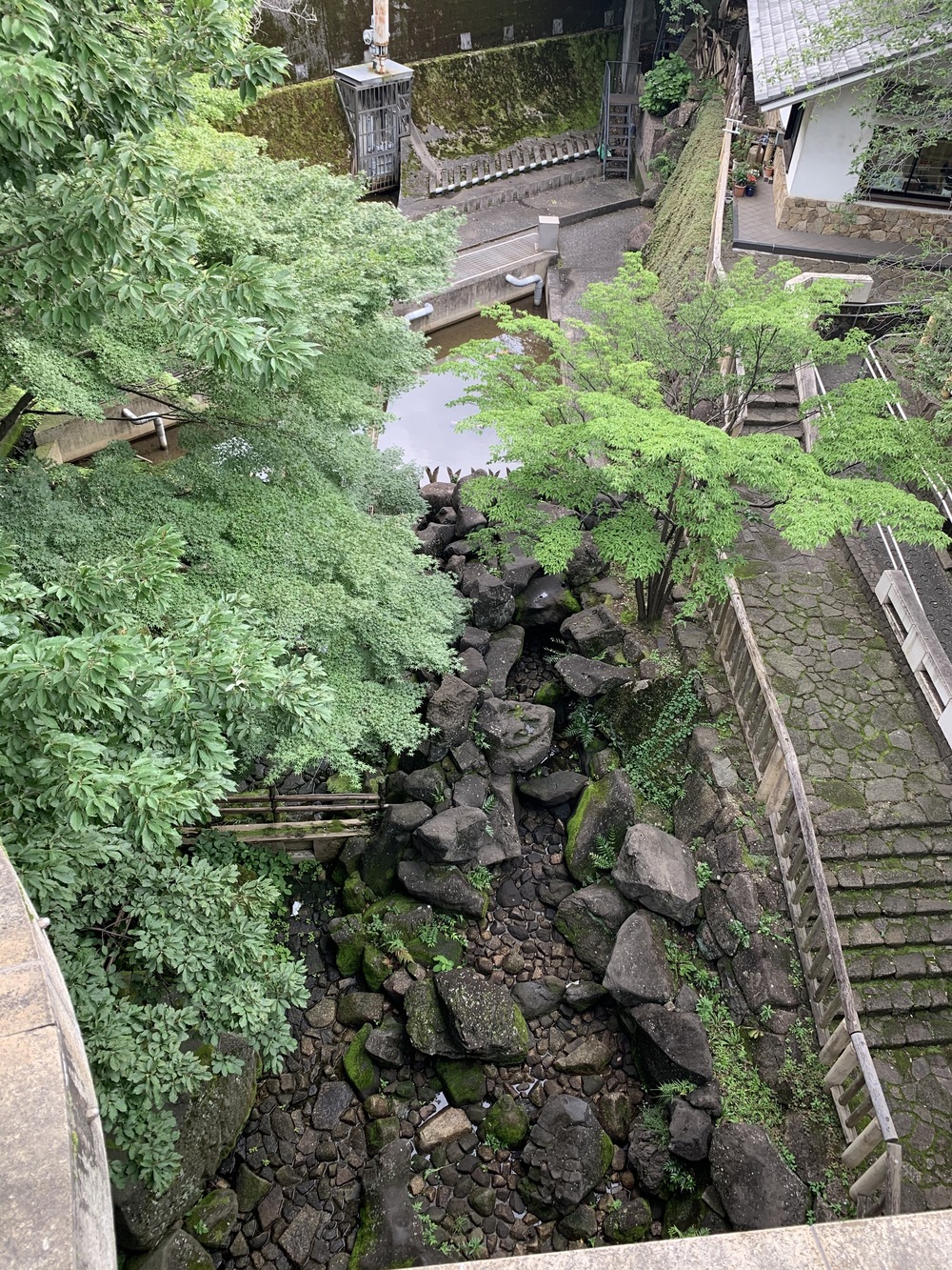 春は花見コースですが、初夏は新緑コースです。の写真7