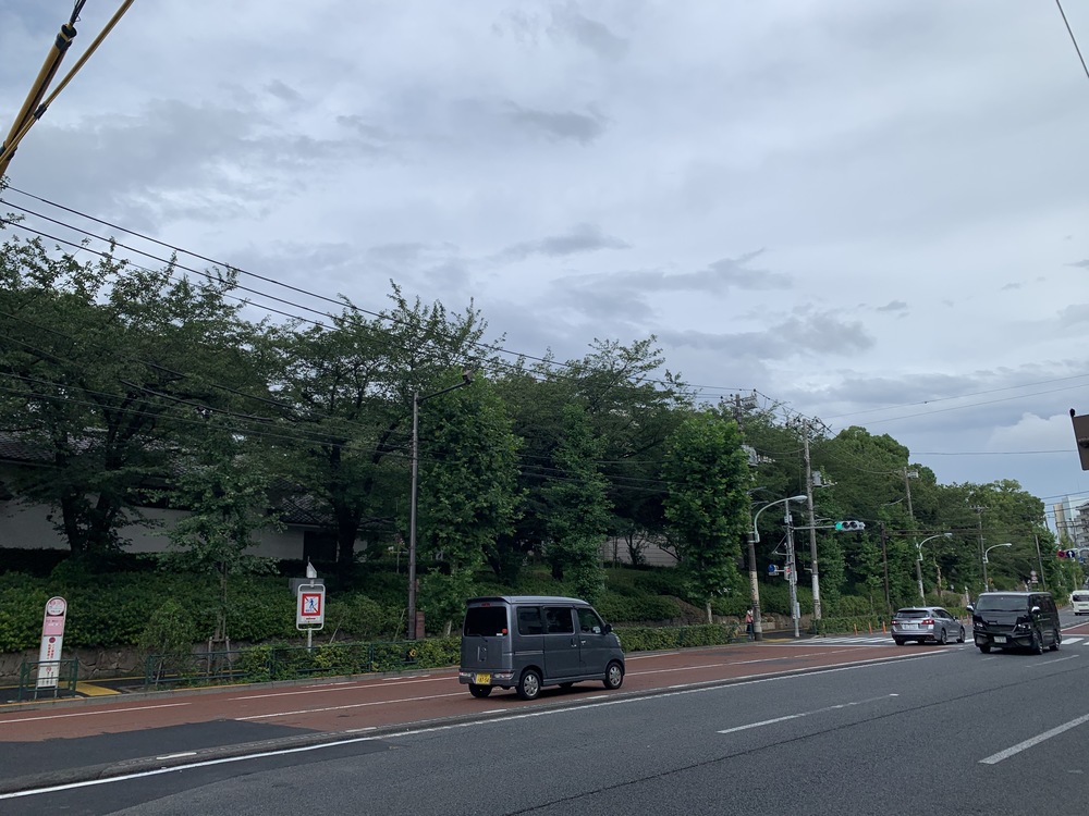 春は花見コースですが、初夏は新緑コースです。の写真8