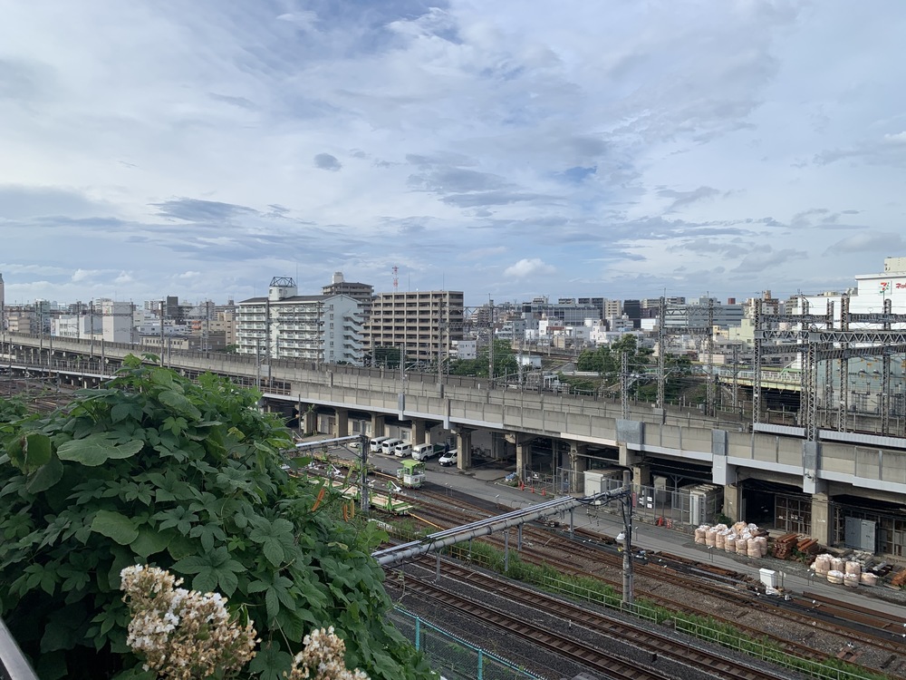 春は花見コースですが、初夏は新緑コースです。の写真10