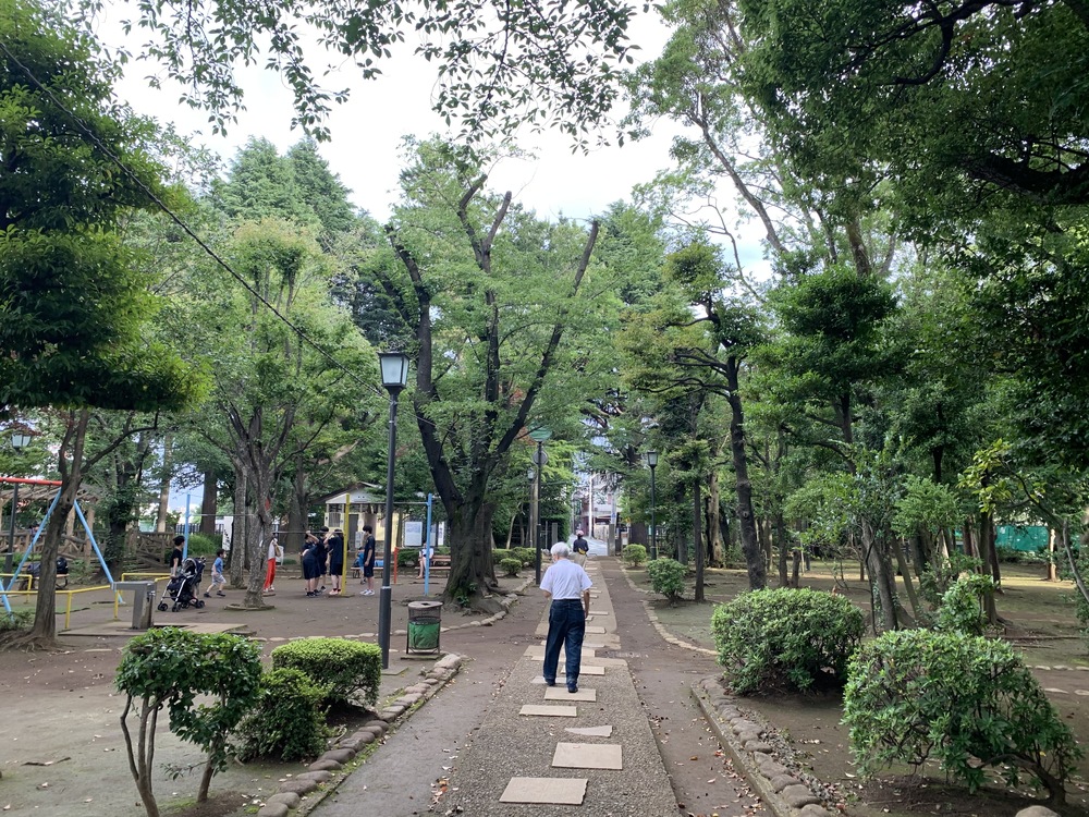 春は花見コースですが、初夏は新緑コースです。の写真11