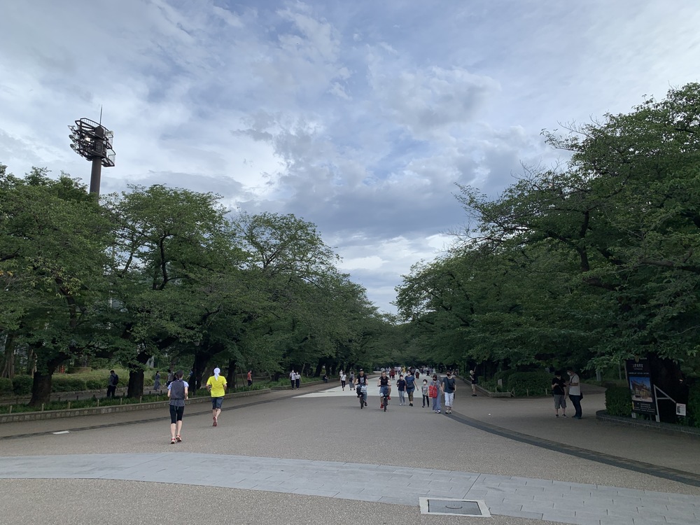 春は花見コースですが、初夏は新緑コースです。の写真14