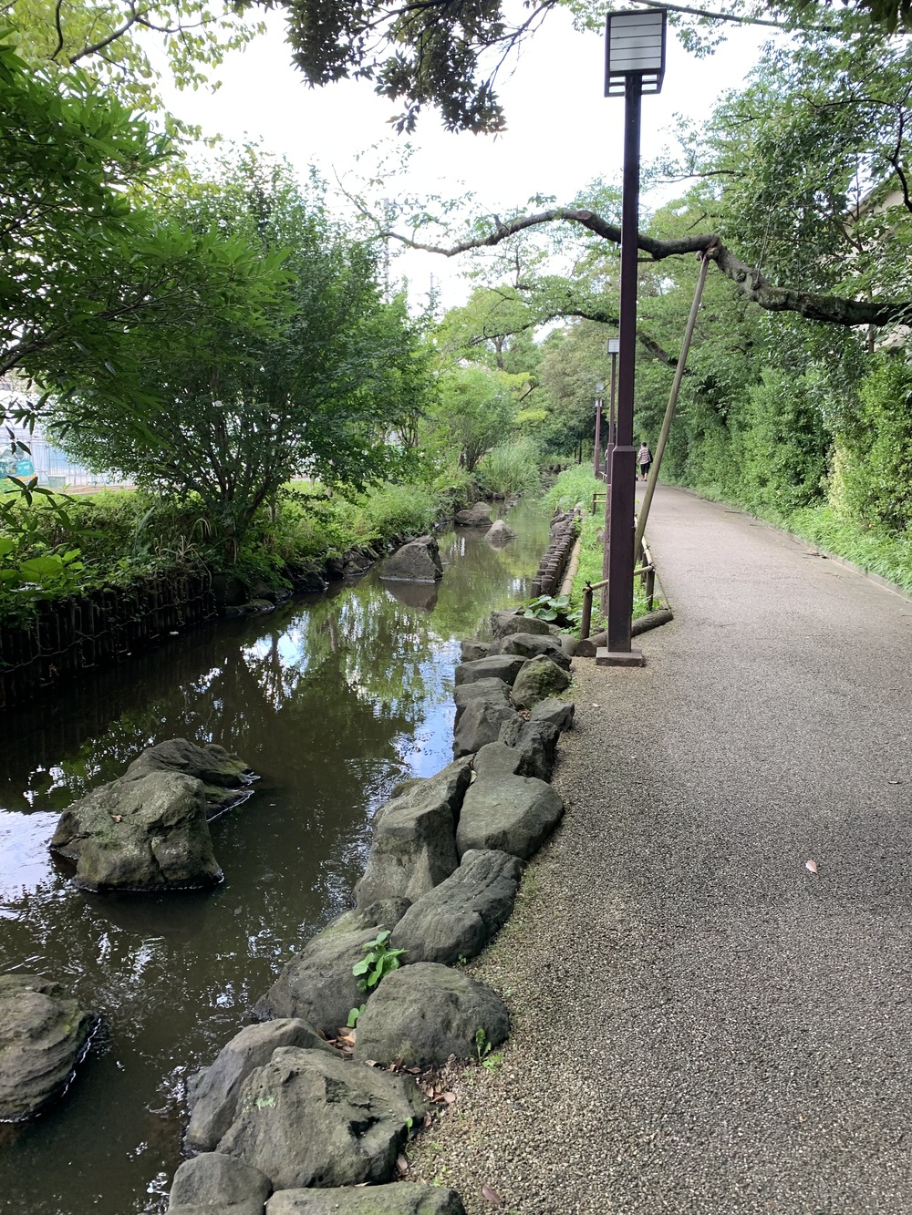 東京スカイツリーから水辺のオアシスを走るコースの写真7