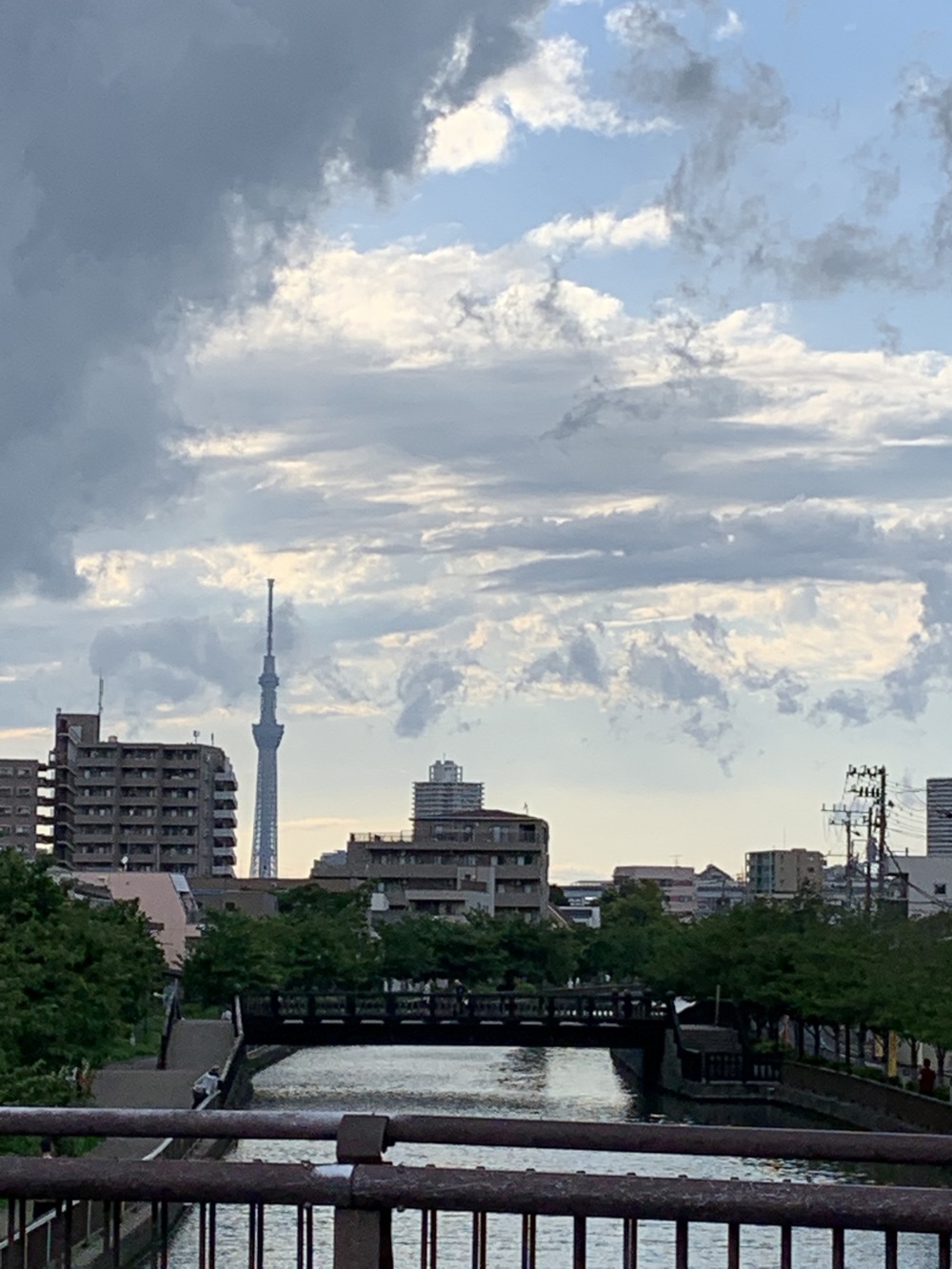 東京スカイツリーから水辺のオアシスを走るコースの写真8