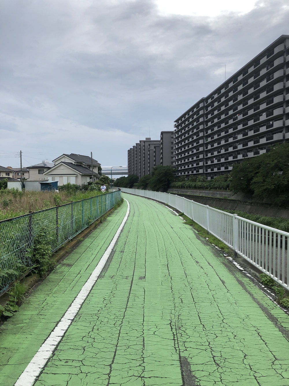 中浦和駅から遊歩道 往復コースの写真3