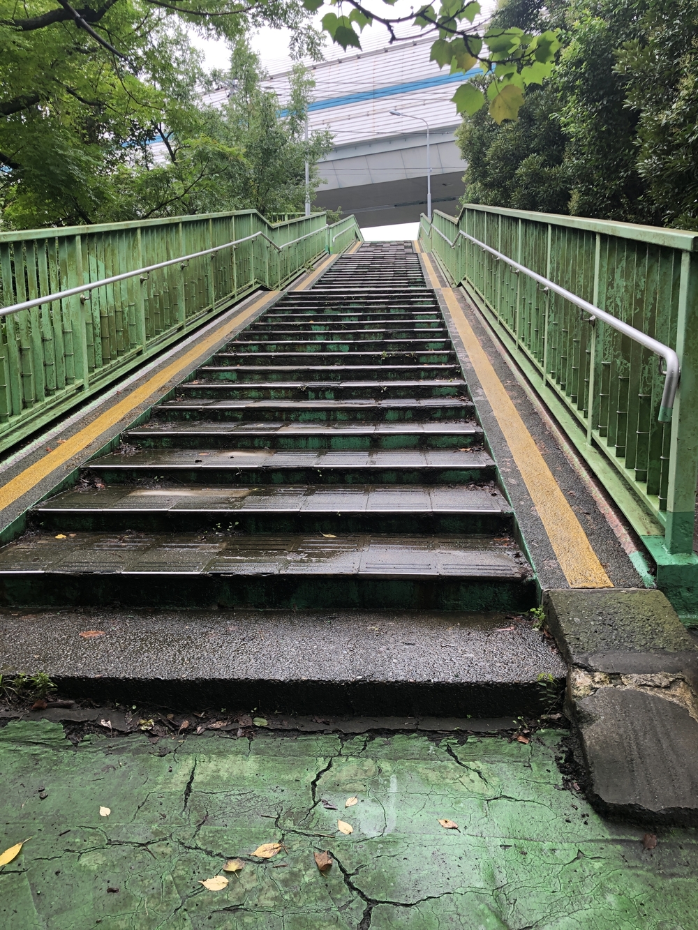 中浦和駅から遊歩道 往復コースの写真4