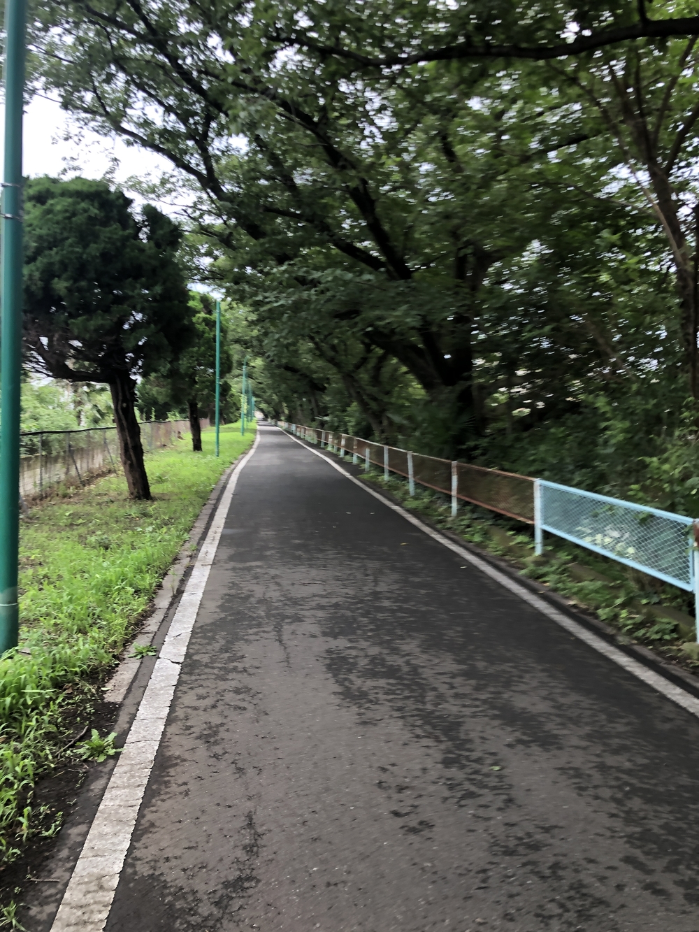 中浦和駅から遊歩道 往復コースの写真5
