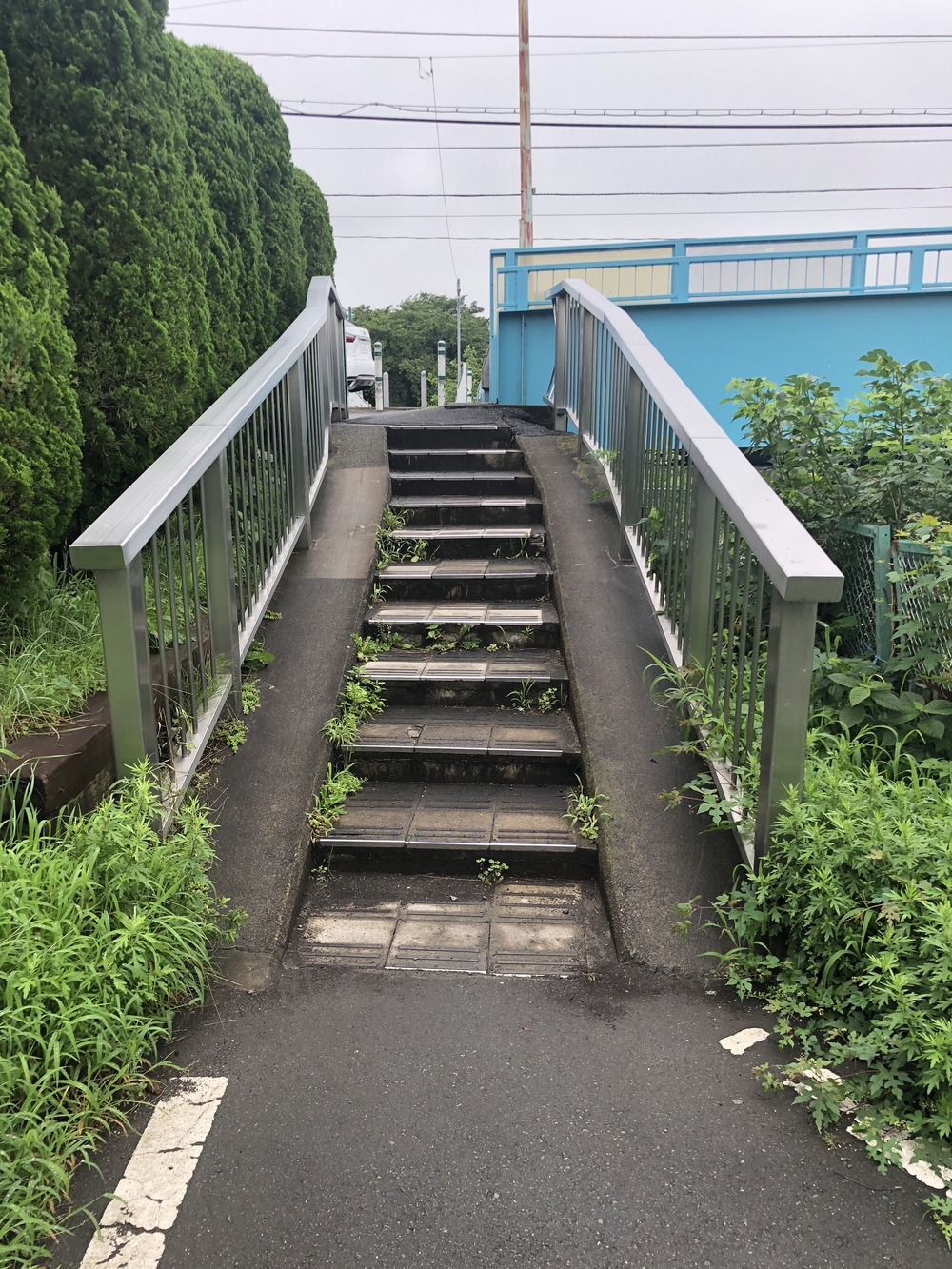 中浦和駅から遊歩道 往復コースの写真6