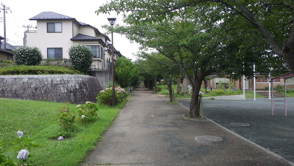 ルーツ 初めて根付いた街の写真3