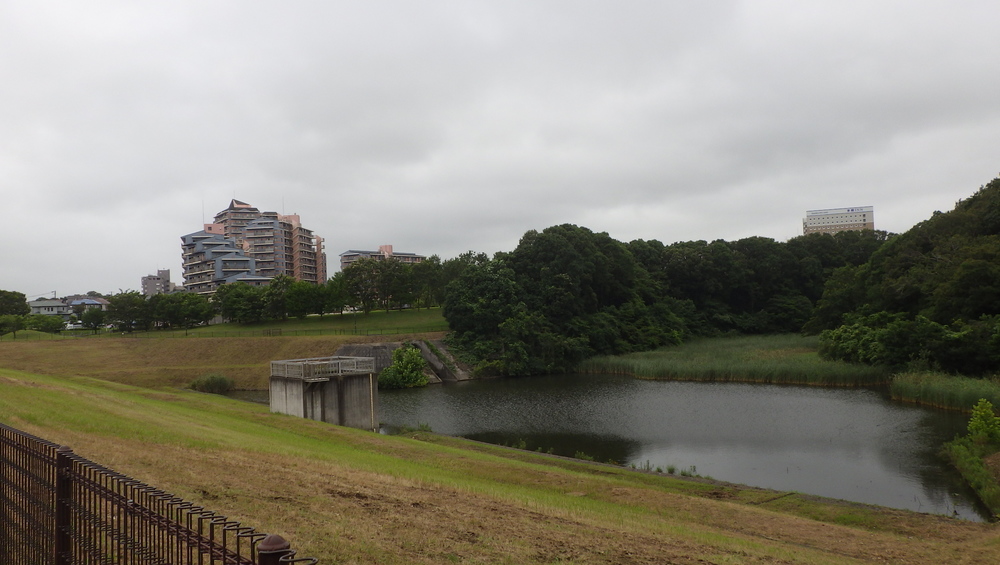 ルーツ 初めて根付いた街の写真4