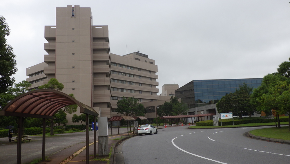 ルーツ 初めて根付いた街の写真7