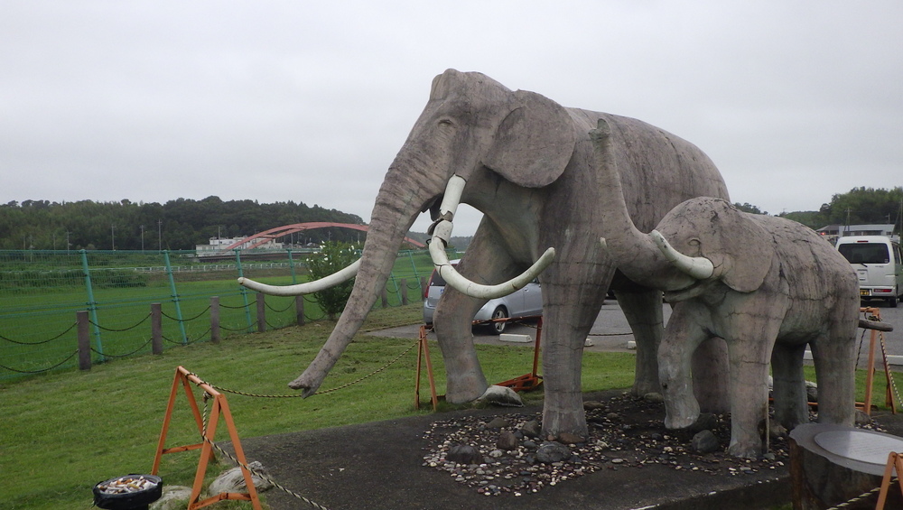 ルーツ 初めて根付いた街の写真9