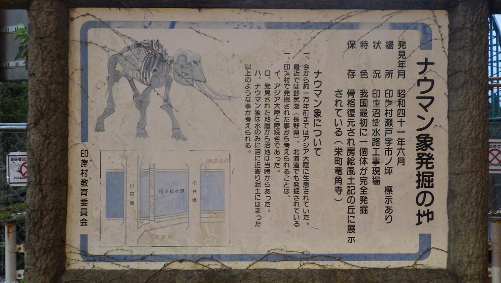 ルーツ 初めて根付いた街の写真10