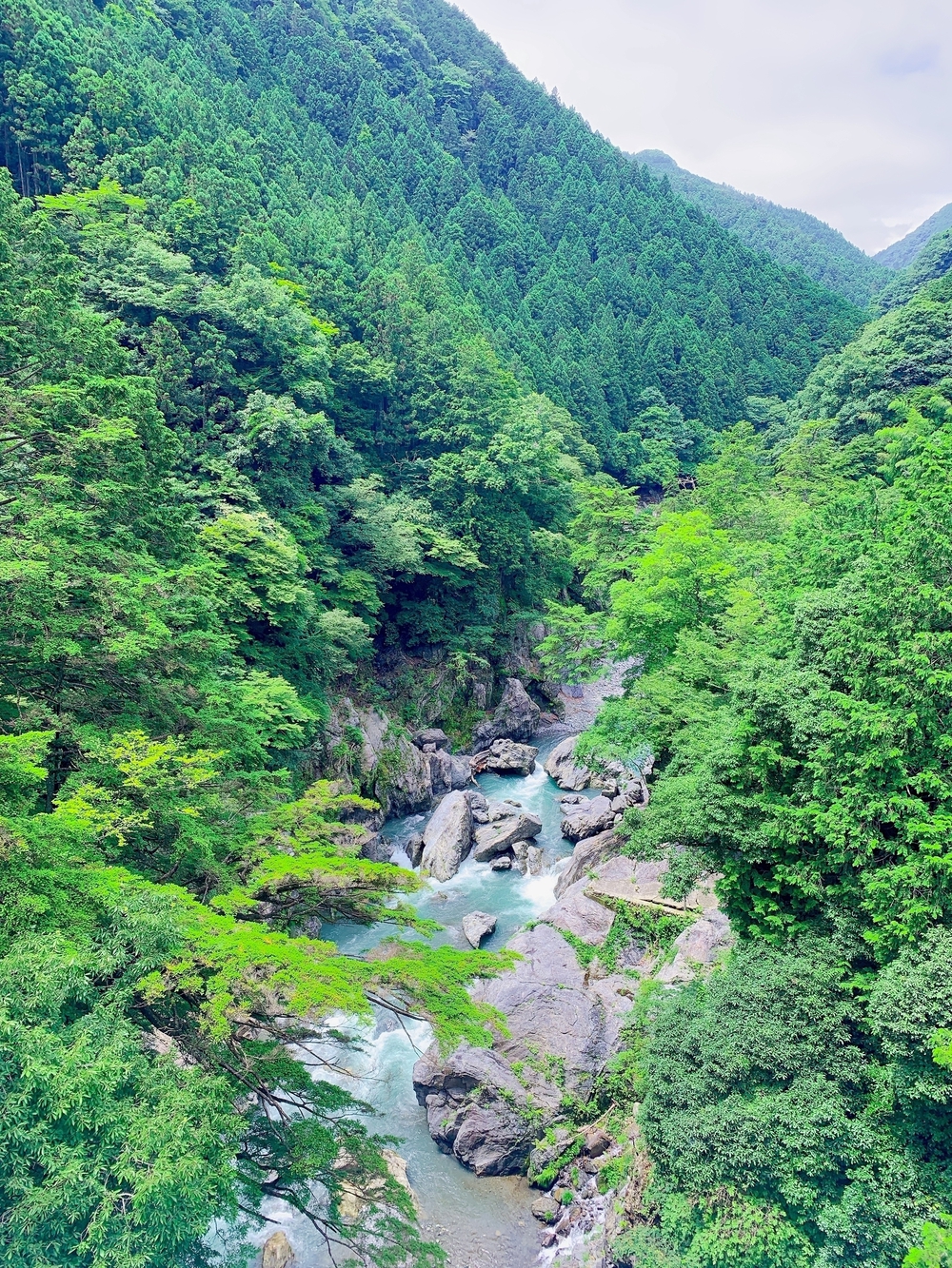 奥多摩トレラン（古里〜奥多摩）の写真6