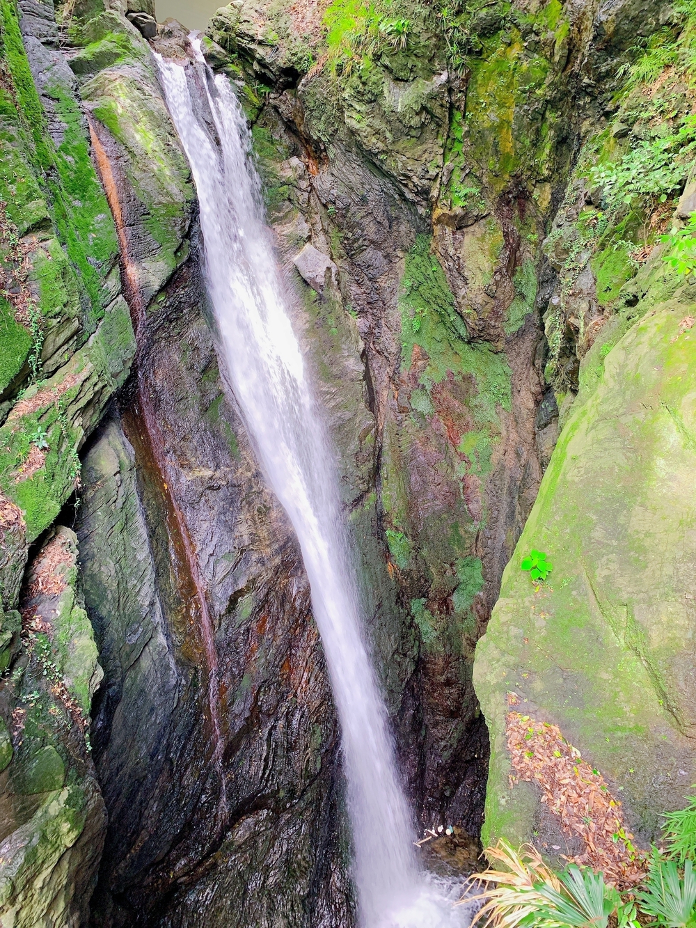 奥多摩トレラン（古里〜奥多摩）の写真7