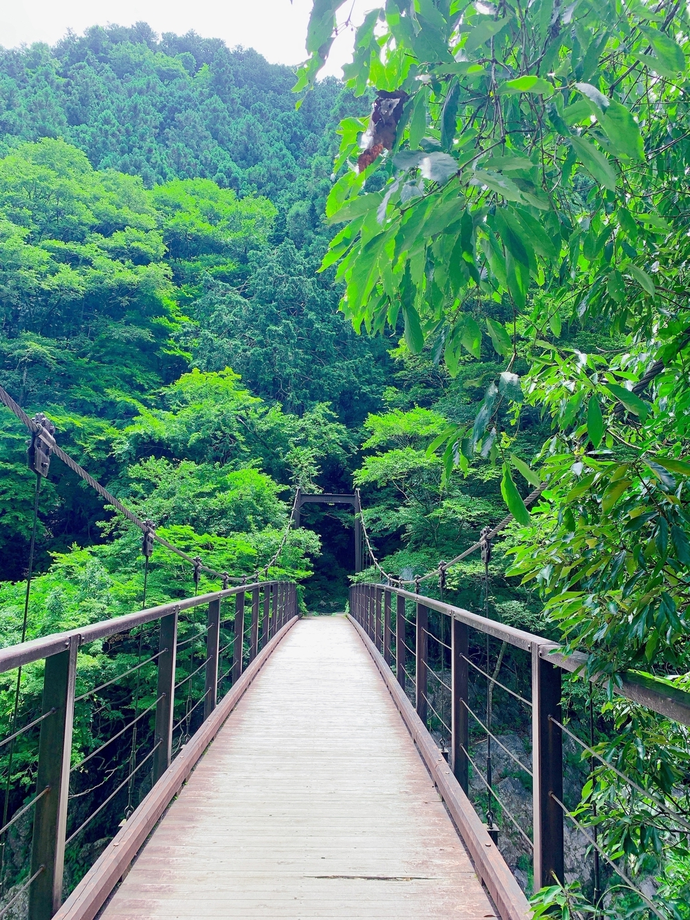 奥多摩トレラン（古里〜奥多摩）の写真8