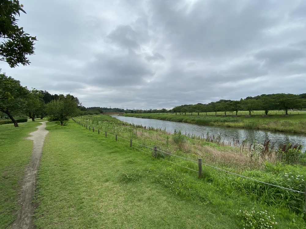 水戸千波公園、千波湖周回コースの写真3