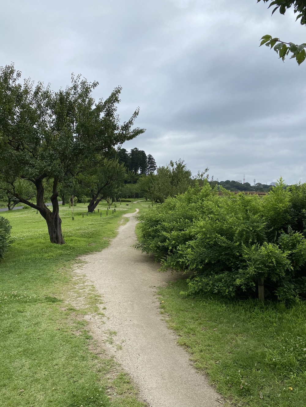 水戸千波公園、千波湖周回コースの写真4