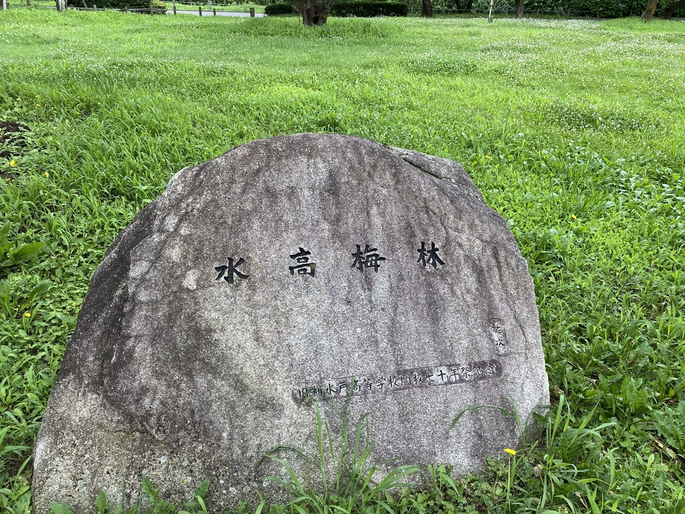水戸千波公園、千波湖周回コースの写真5