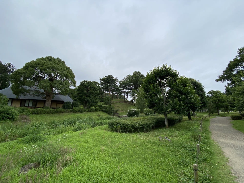 水戸千波公園、千波湖周回コースの写真6