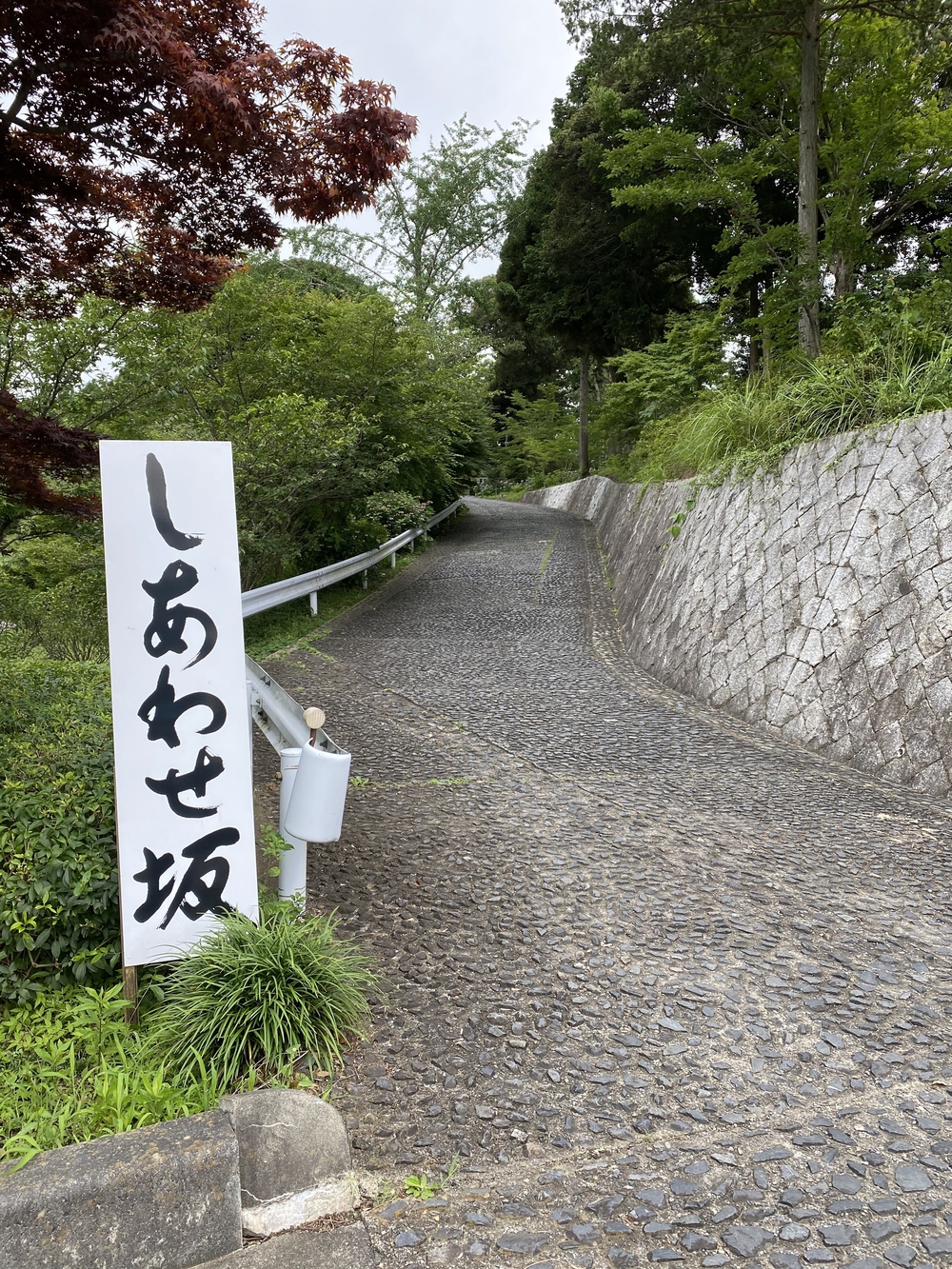 水戸千波公園、千波湖周回コースの写真8
