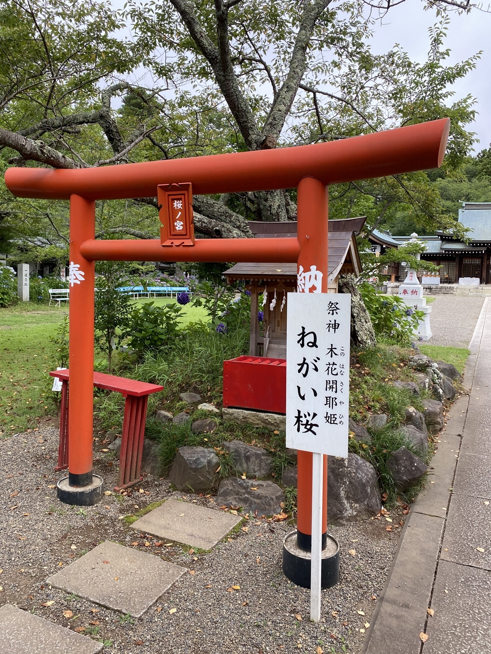 水戸千波公園、千波湖周回コースの写真9