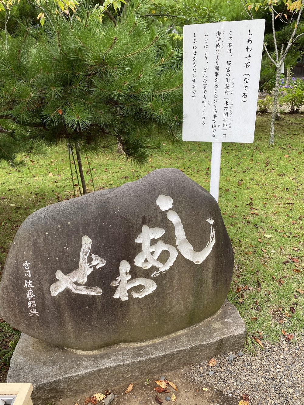 水戸千波公園、千波湖周回コースの写真11