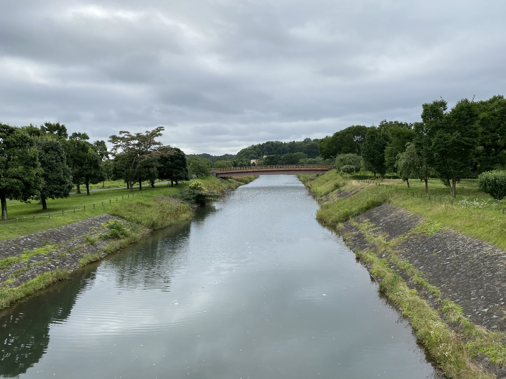 水戸千波公園、千波湖周回コースの写真12