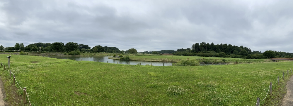 水戸千波公園、千波湖周回コースの写真13