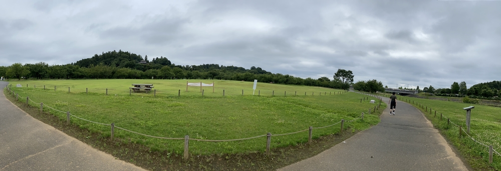 水戸千波公園、千波湖周回コースの写真14