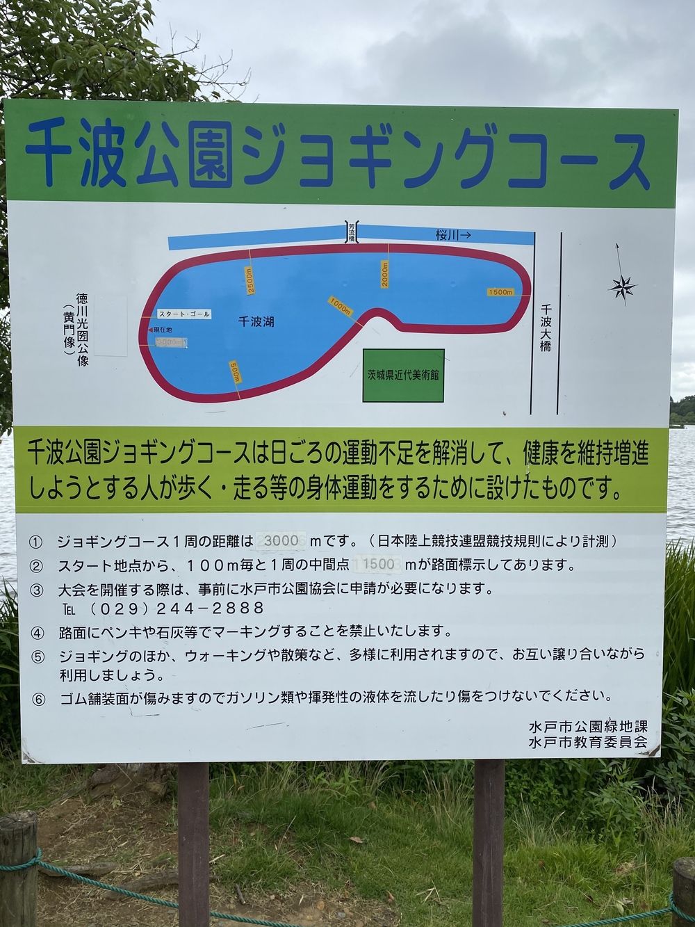 水戸千波公園、千波湖周回コースの写真16