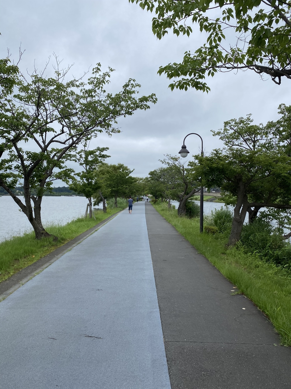水戸千波公園、千波湖周回コースの写真20
