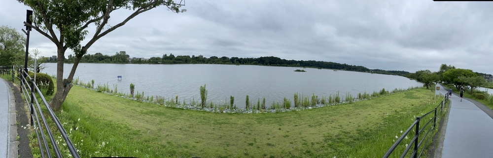 水戸千波公園、千波湖周回コースの写真23
