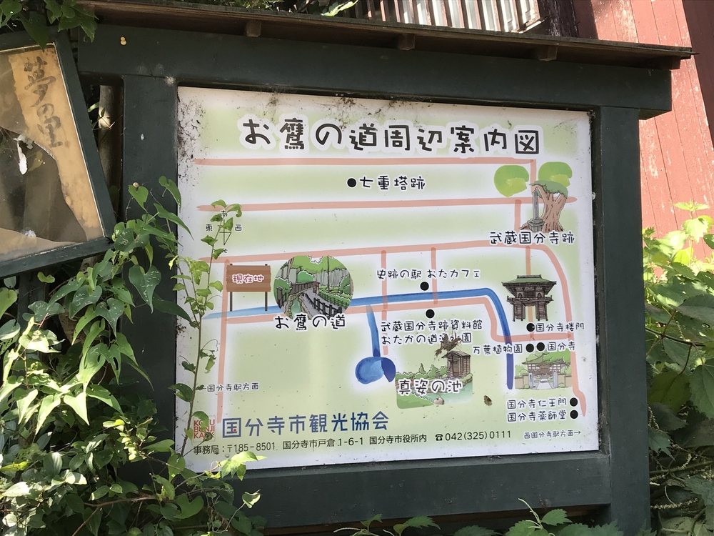 吉祥寺〜三鷹〜国分寺ハーフ(21km)の写真3