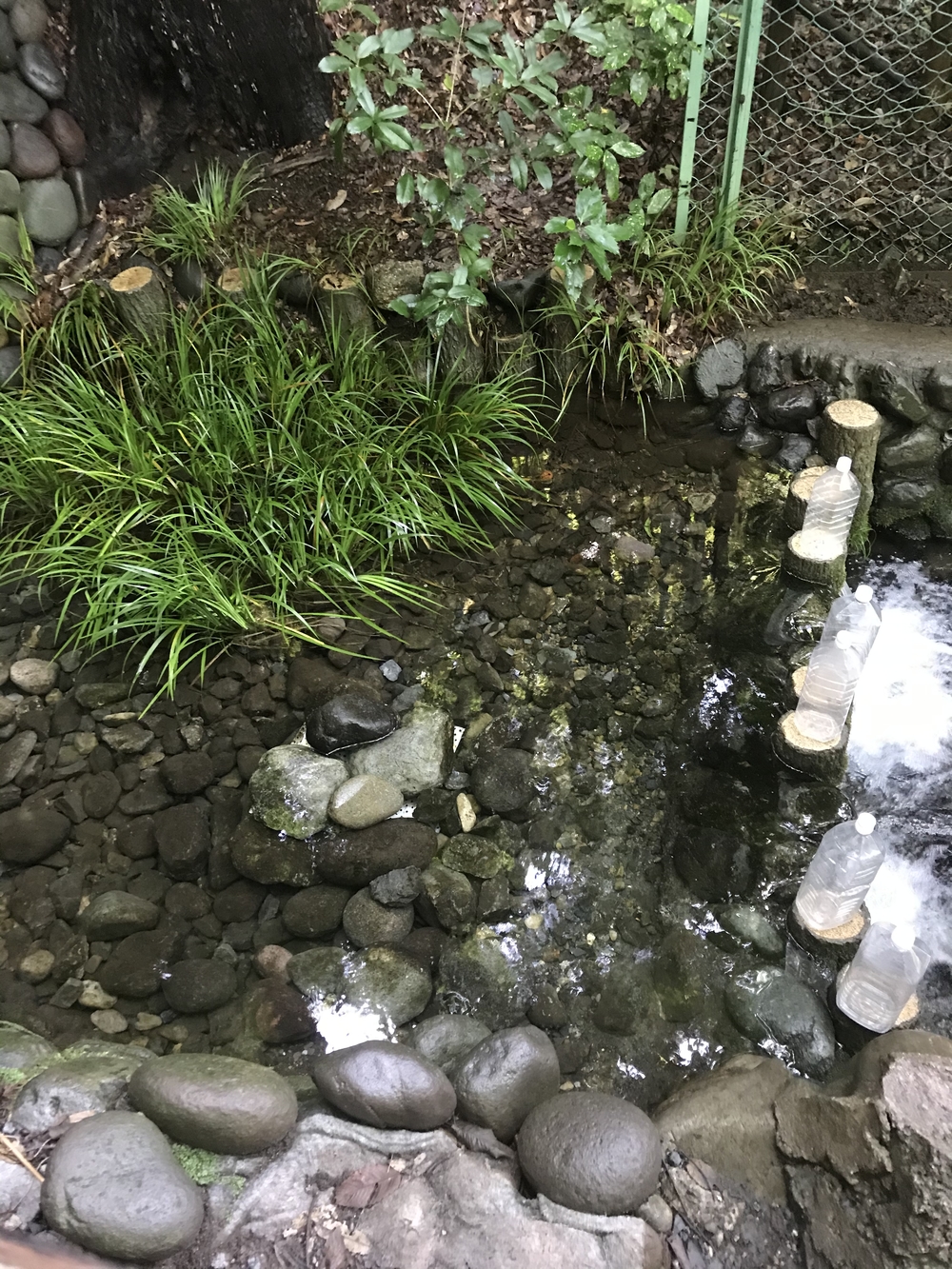 吉祥寺〜三鷹〜国分寺ハーフ(21km)の写真4