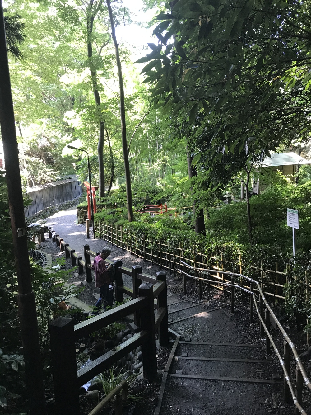 吉祥寺〜三鷹〜国分寺ハーフ(21km)の写真5