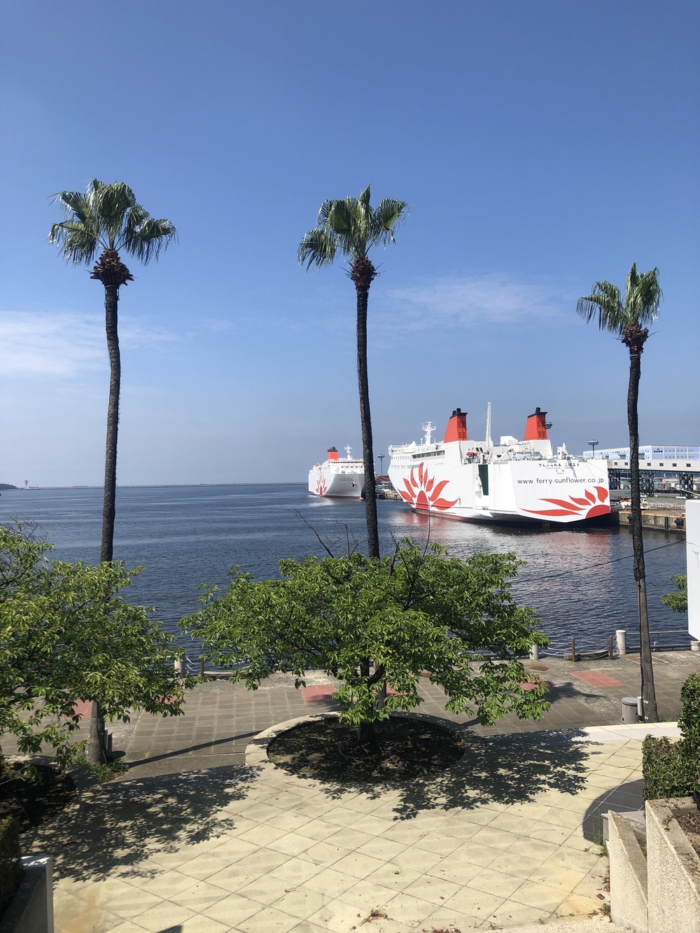 河口から海辺をつなぐ遊歩道コースの写真4