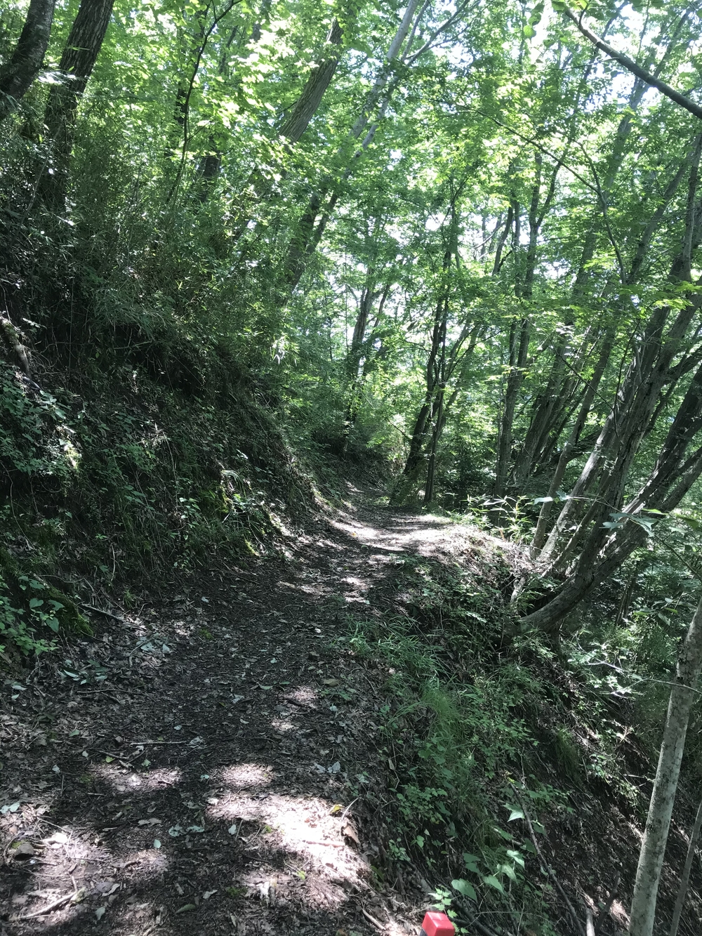 藤野15名山〜名倉、日連地域の4山編の写真3