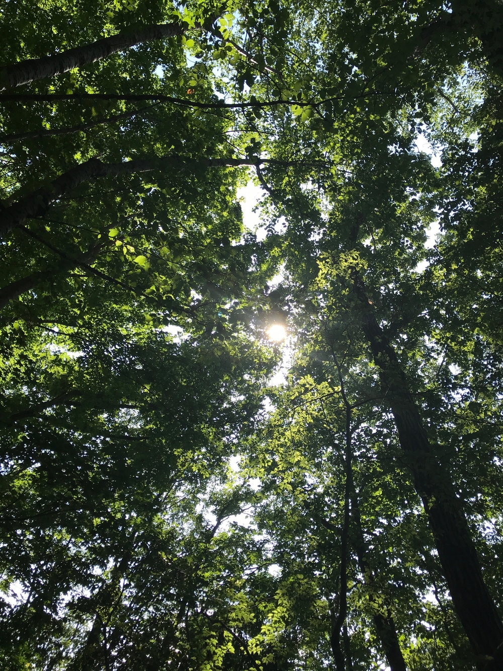 藤野15名山〜名倉、日連地域の4山編の写真4