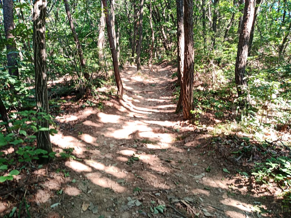 韓国　チョナン 太祖山トレイルの写真3