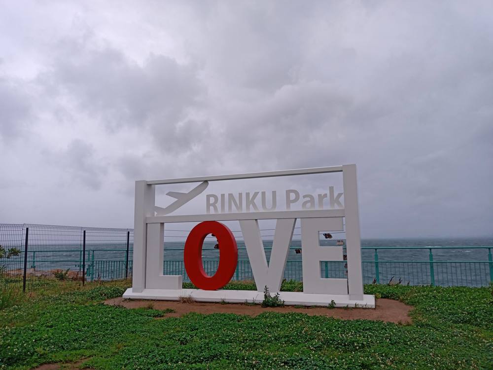 大阪　りんくう公園付近　雨ランの写真7