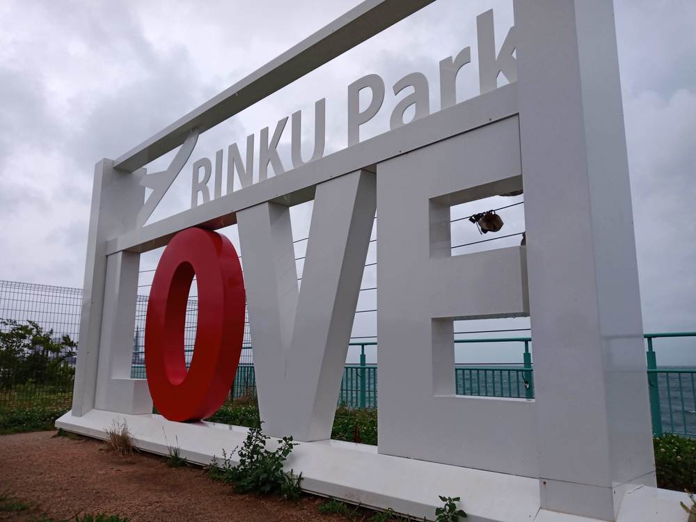 大阪　りんくう公園付近　雨ランの写真8