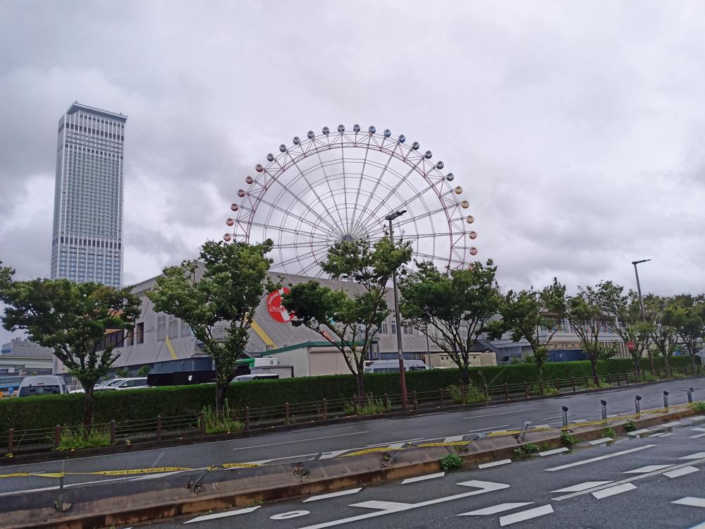 大阪　りんくう公園付近　雨ランの写真9
