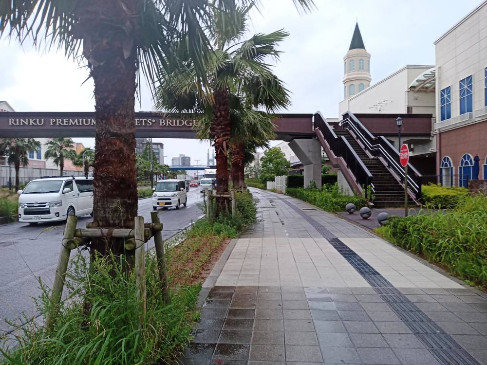 大阪　りんくう公園付近　雨ランの写真10