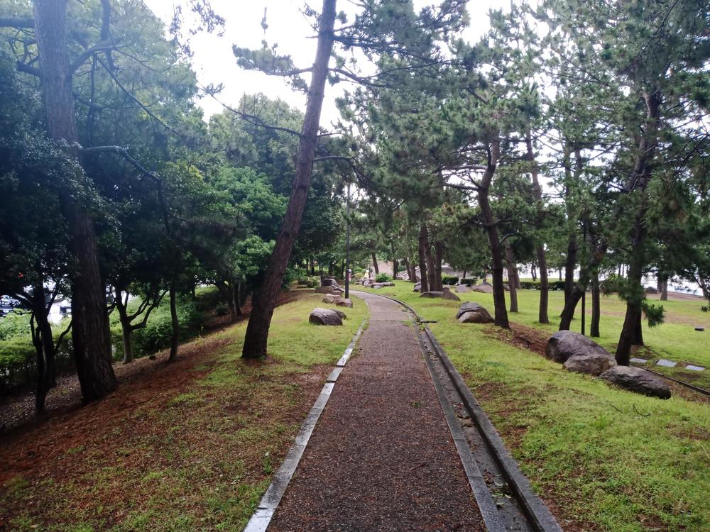 大阪　りんくう公園付近　雨ランの写真12