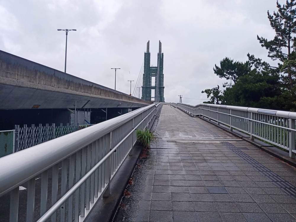 大阪　りんくう公園付近　雨ランの写真13