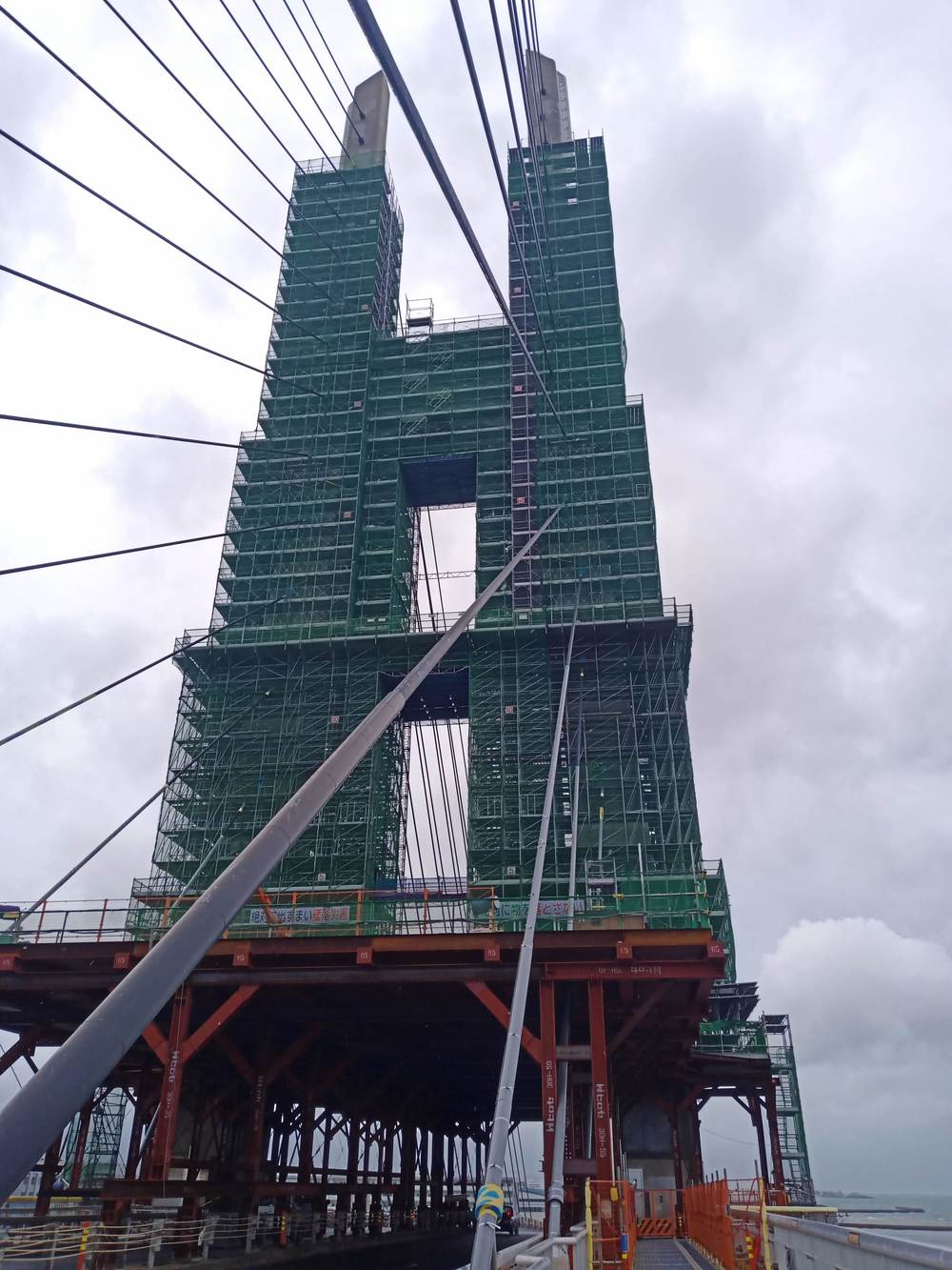 大阪　りんくう公園付近　雨ランの写真14